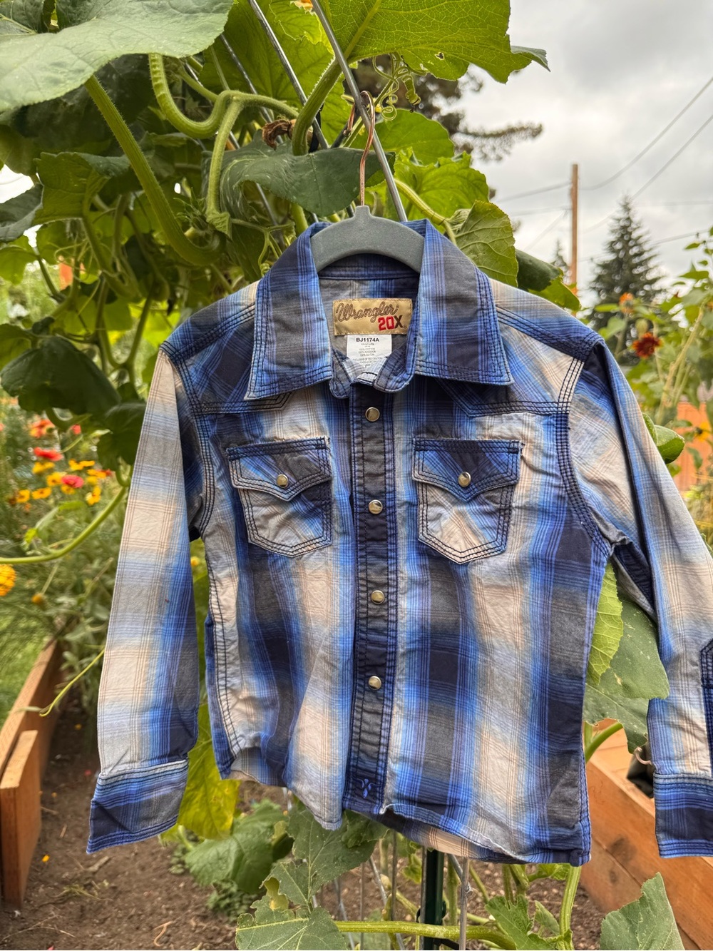 Wrangler Blue and White Plaid Button-Down Shirt